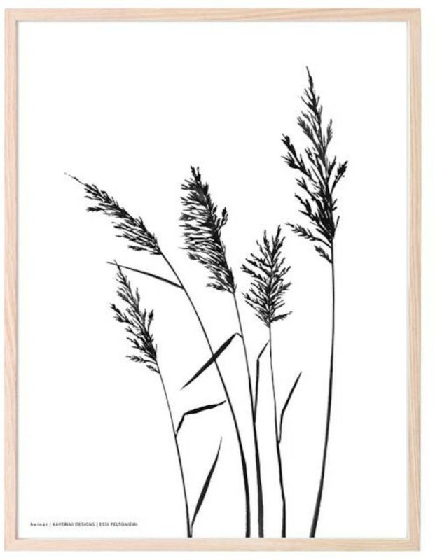 Kaverini Sella Heinät juliste 30x40 cm
