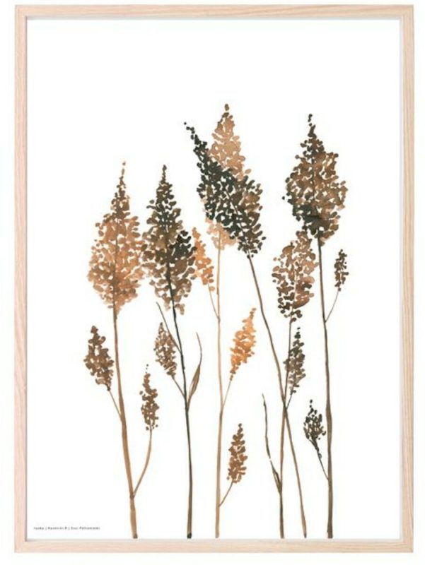 Kaverini Sella Ruska juliste 50x70 cm